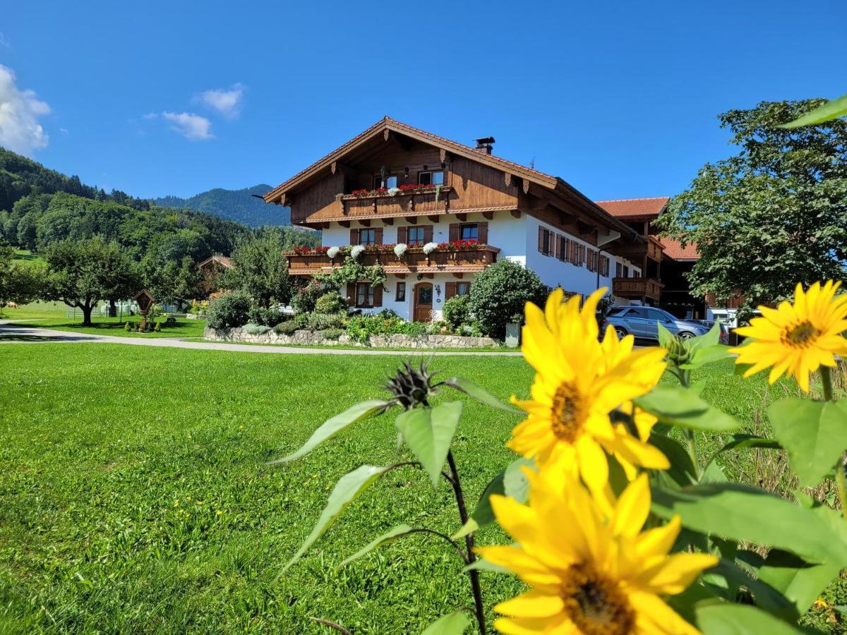 Hoderhof Apartment Grassau  Exterior foto